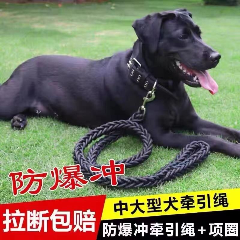 狗绳防脱牵引绳狗链子大犬犬中型大型犬宠物金毛脖圈遛拉布拉多狗