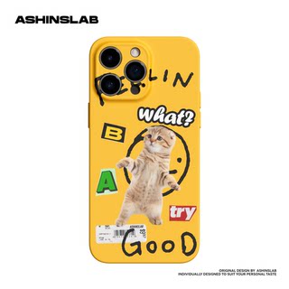 ASHINSLAB疑问猫咪适用苹果15ProMax可爱iphone14pro全包精孔软壳13磨砂12硬壳11防摔小众趣味手机壳