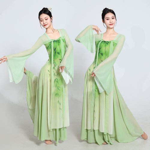 2025新款古典舞服装渐变纱衣身韵练功服女中国舞舞蹈服飘逸演出服