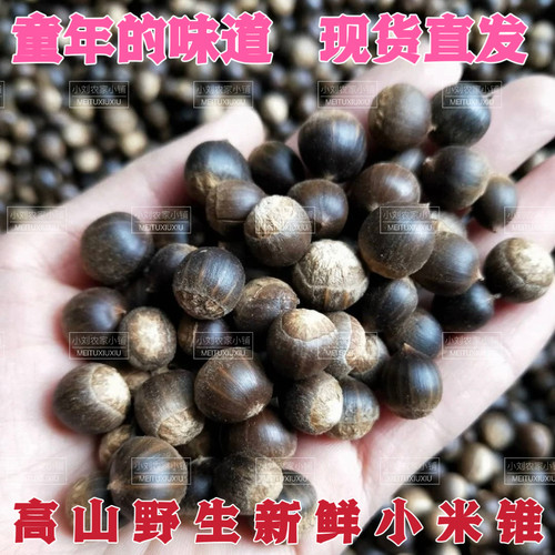 2斤装江西纯生野生米坚果椎栗
