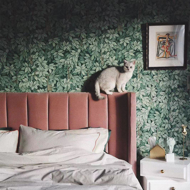 舒梵告别款5折现货呵护丝绒床/实木主卧双人床轻奢布艺床软包