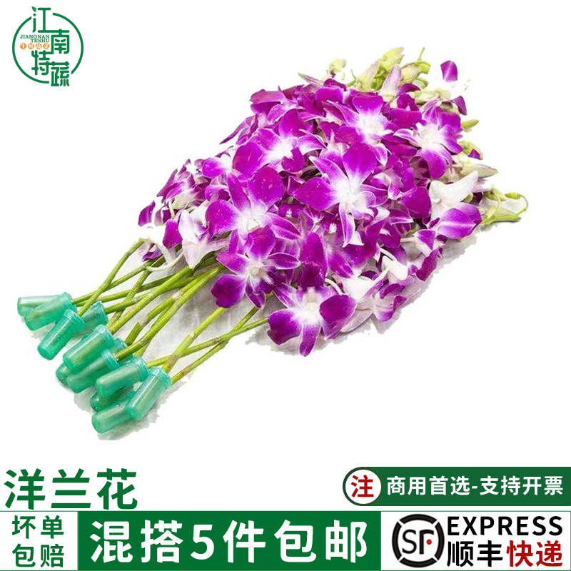 新鲜紫色洋兰花酒店西餐厅餐饮摆盘装饰点缀一包12支300g顺丰包邮