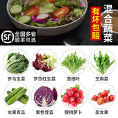 沙拉蔬菜新鲜食材混合装 沙拉套餐健身轻食餐清洗蔬菜沙拉蔬菜