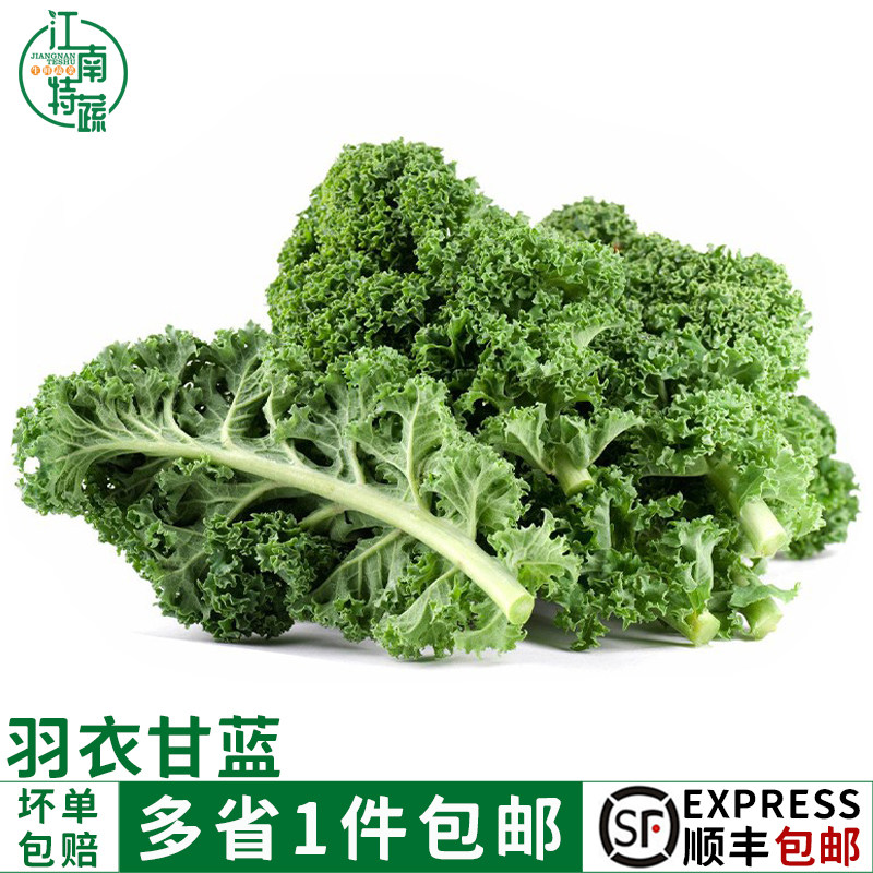 新鲜羽衣甘蓝沙拉食材kale榨汁烤片蔬菜食用轻食蔬菜雨衣甘蓝包邮