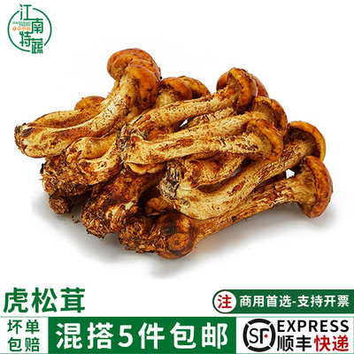 新鲜云南虎松茸菌250g