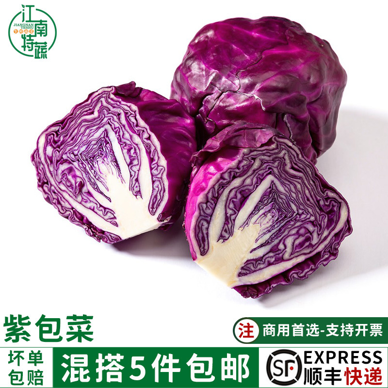 新鲜蔬菜紫甘蓝1000g紫包菜卷紫色球生菜蔬菜沙拉生菜橄榄菜