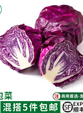 新鲜蔬菜紫甘蓝1000g紫包菜卷紫色球生菜蔬菜沙拉生菜橄榄菜