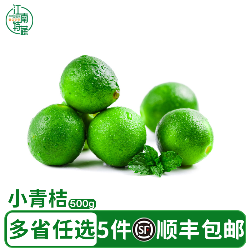 海南小金桔小青桔奶茶店专用