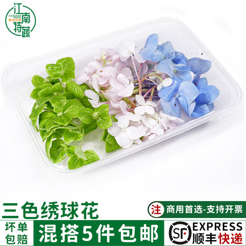 新鲜三色绣球花红蓝绿三色任选