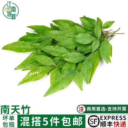 新鲜南天竹可食用摆盘装饰点缀