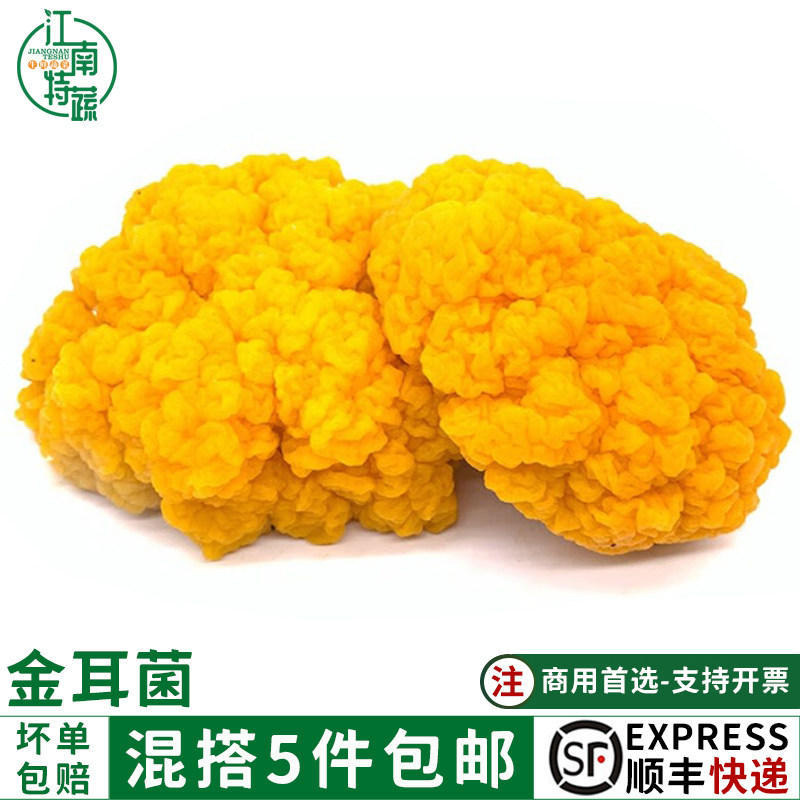 新鲜云南特产黄金耳菌500g非干货银耳菌食用菌菇刺身火锅煲汤食材