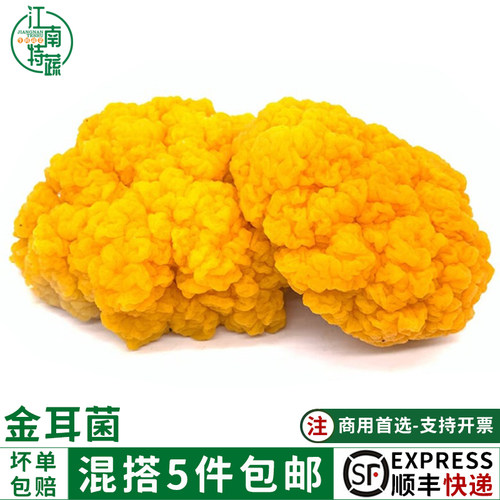新鲜云南特产黄金耳菌500g非干货银耳菌食用菌菇刺身火锅煲汤食材