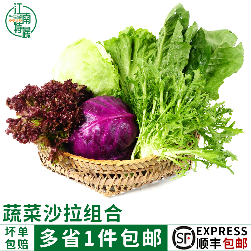 新鲜蔬菜沙拉组合4斤红叶苦菊球生菜罗莎绿紫包菜罗马菜沙拉套餐