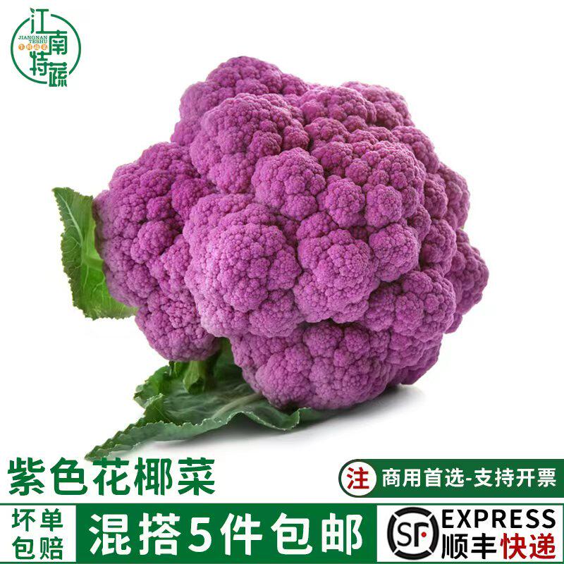 新鲜紫花菜花椰菜紫色西兰花松花菜现摘时令蔬菜沙拉食用食材顺丰
