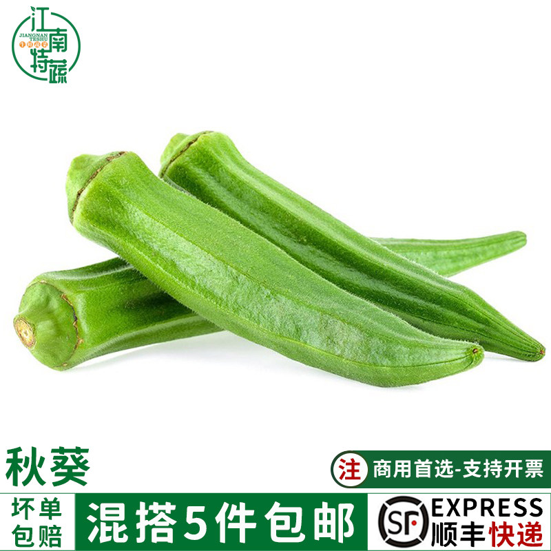 新鲜秋葵500g新鲜蔬菜六角羊角豆当季现摘现发农家秋葵五件包邮