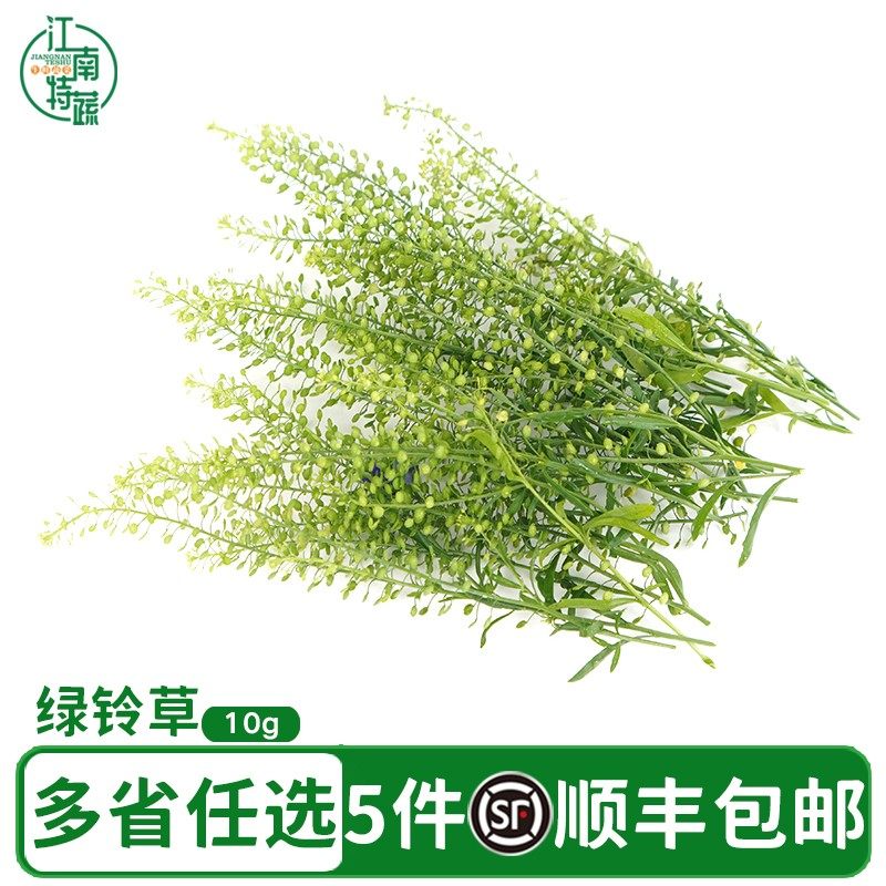 新鲜绿铃草水晶草西餐酒店酒水日料冷菜摆盘蛋糕烘焙装饰点缀花草,水产肉类/新鲜蔬果/熟食,其它,淘宝优惠券,粉丝福利购,淘宝优惠卷