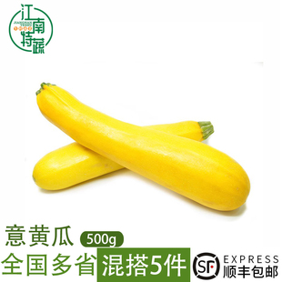 新鲜意大利黄节瓜500g青蕉瓜黄蕉瓜黄色葫芦西餐蔬菜沙拉生菜