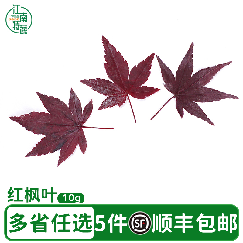 红枫叶非绿枫叶30片摆盘装饰