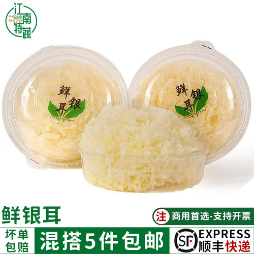 新鲜活银耳新鲜雪耳白木耳鲜银耳糯丑雪耳材非干货银耳莲子羹材料