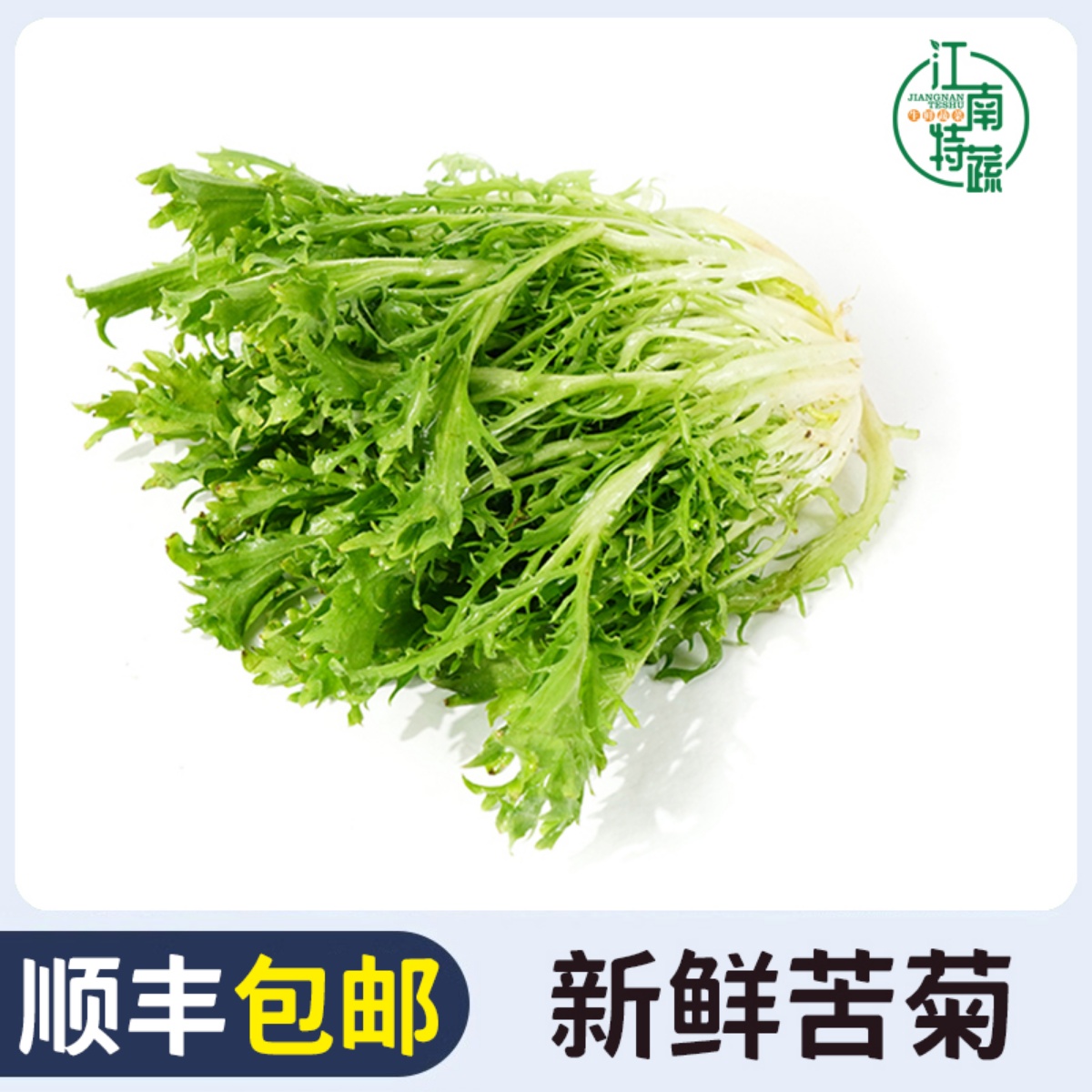 苦菊生菜新鲜轻食沙拉蔬菜食材