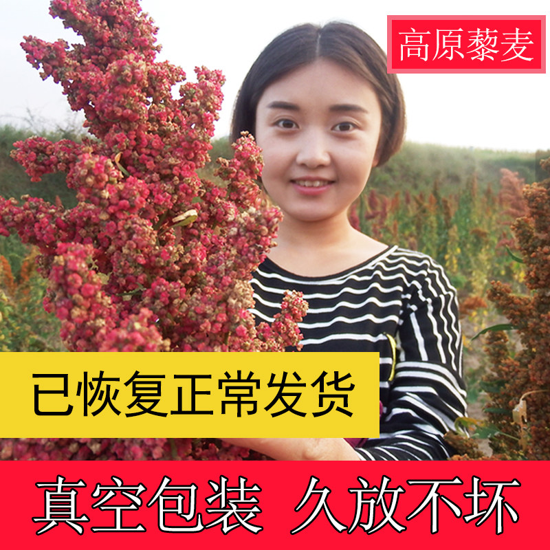 农家自产5斤500g*5精选藜麦米 非三色藜麦 黎麦米五谷粗粮