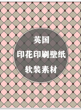 DA-310英国创新艺术印花墙纸壁纸花纹图案单品与场景软装设计素材