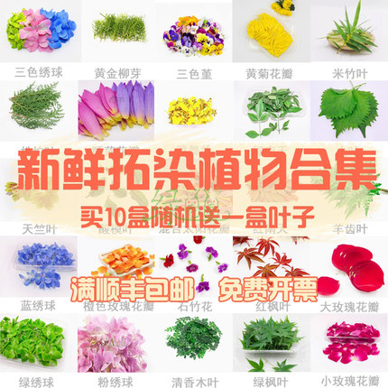 植物敲拓染鲜花 花卉材料 拓草材料贴花拓印捶花新鲜绿植树叶押花