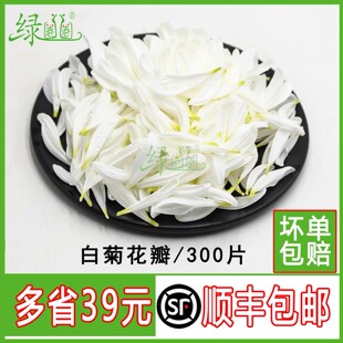 新鲜 菊花花瓣 白菊花瓣酸菜鱼火锅西餐摆盘装饰菜草菜品点缀