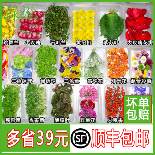 餐厅摆盘装饰花草新鲜采摘树叶