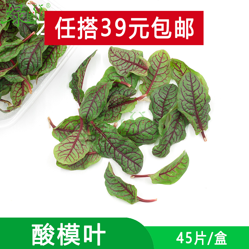 新鲜 红脉酸膜叶 酸模叶 红酸模草酢浆草食用花酒店摆盘装饰点缀