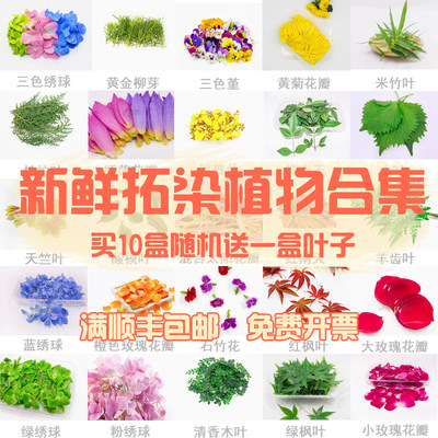 植物敲拓染鲜花绿植树叶押花