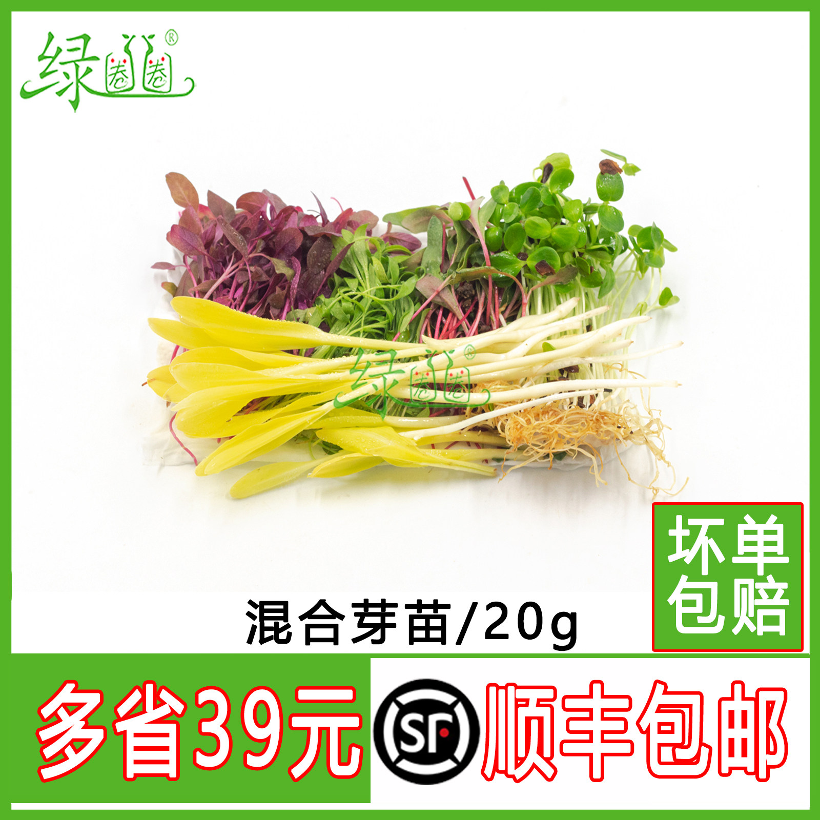 新鲜芽苗菜 火红苗 香椿苗  香菜苗 20g可食用 西餐摆盘装饰点缀