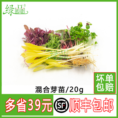 新鲜芽苗菜西餐摆盘装饰点缀