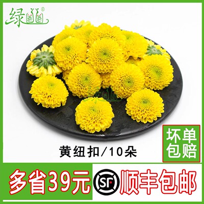新鲜黄金纽扣菊摆盘装饰鲜花