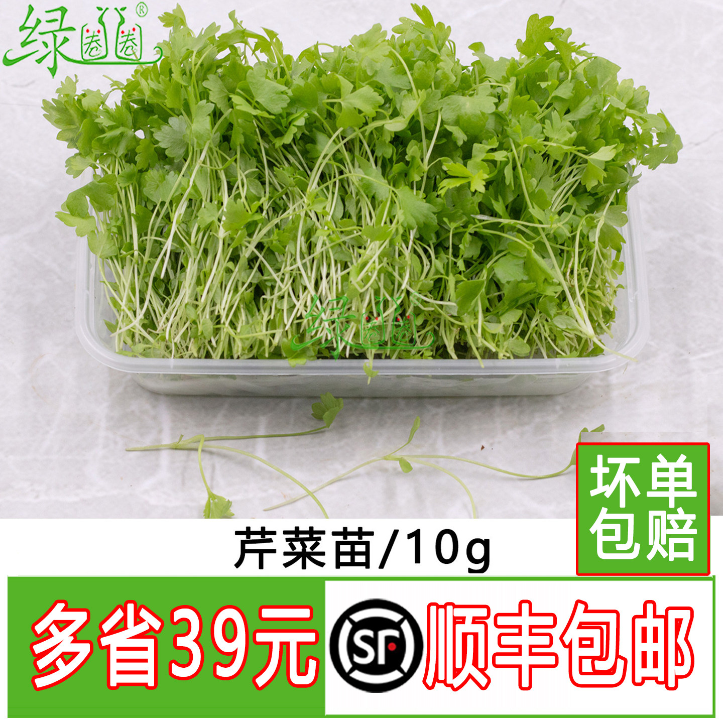 新鲜芹菜幼苗 芹菜苗 西餐日料摆盘装饰可食用芽苗菜酒店冷艺摆盘
