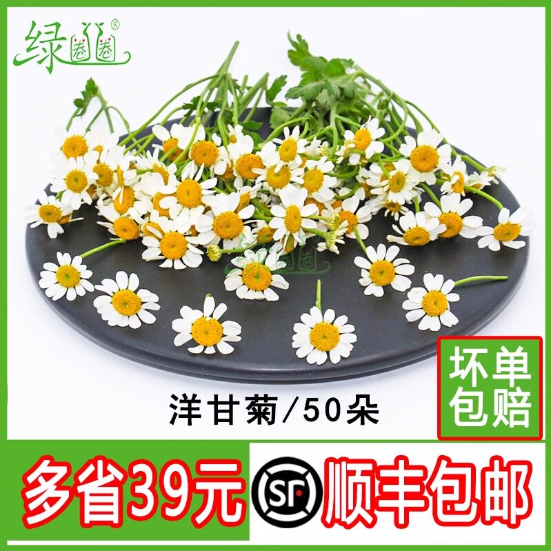 新鲜洋甘菊鲜花50朵 酒店西餐花草摆盘日料烘焙装饰点缀