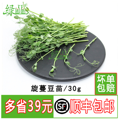 新鲜旋蔓豆苗摆盘装饰点缀