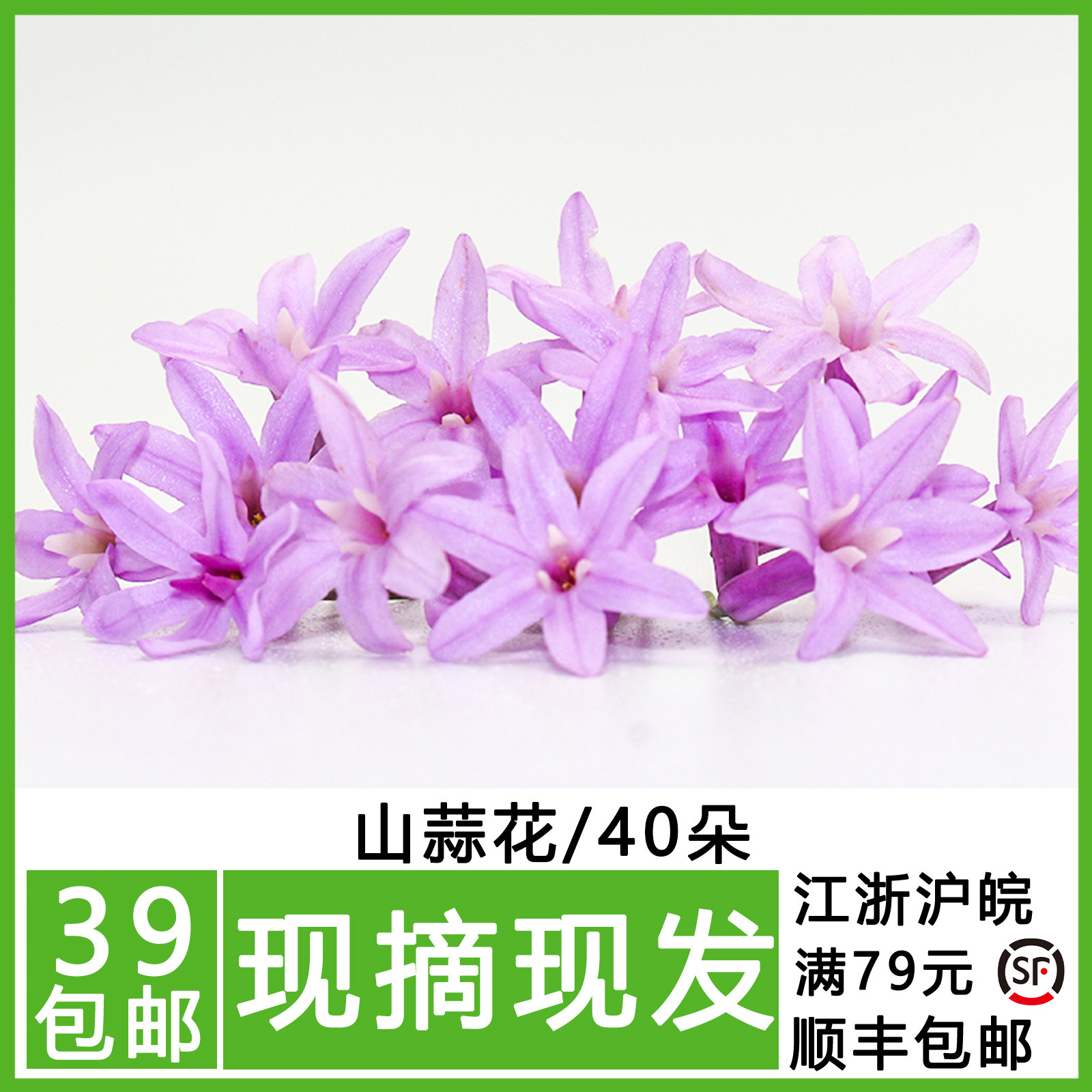 新鲜山蒜花40朵食用花星光璀璨花鲜花繁星花西餐日料摆盘装饰点缀