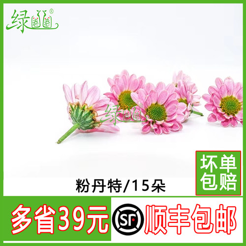 新鲜彩菊粉丹特西餐摆盘装饰