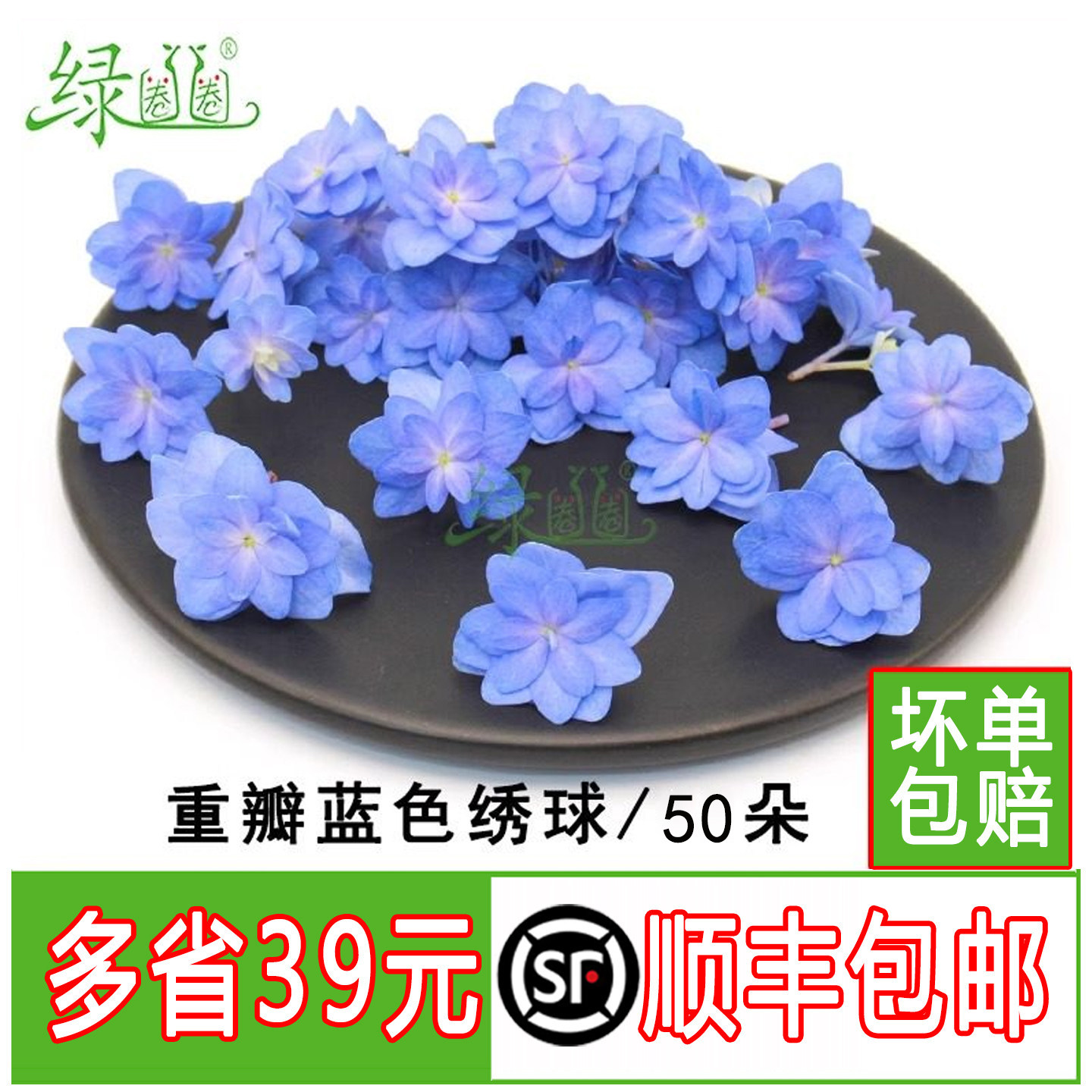 新鲜绣球花40朵/盒重瓣蓝图片