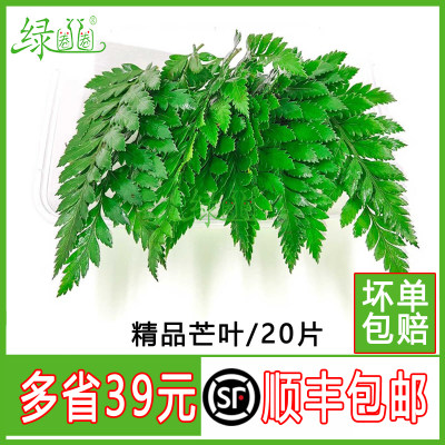 甜品装饰新鲜点缀芒叶