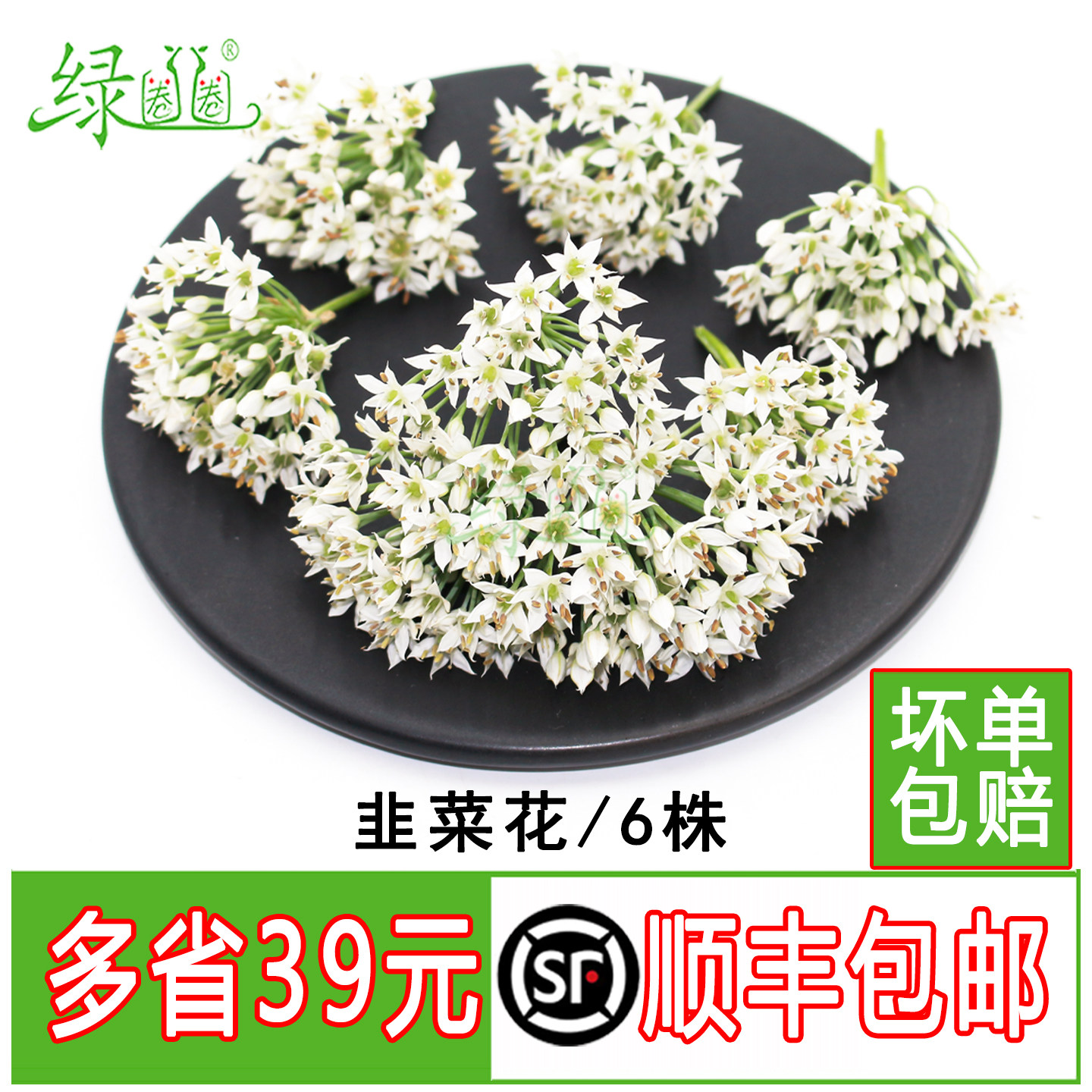 新鲜韭菜花韭花韭菁白色花朵西餐餐饮冷菜摆盘装饰花草点缀鲜花草