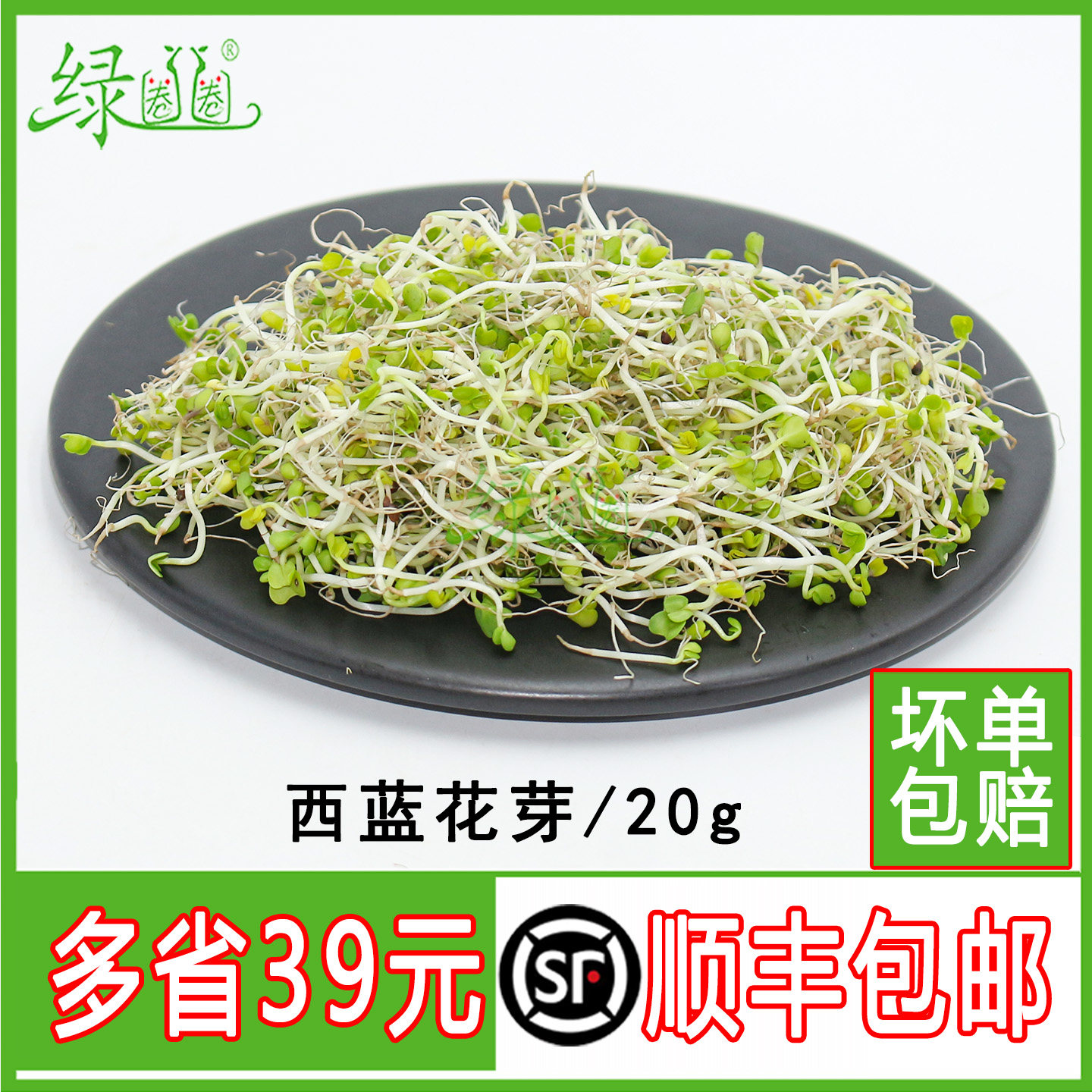 现采西兰花芽 新鲜 西蓝花芽苗  轻食素食凉拌沙拉西餐摆盘装饰