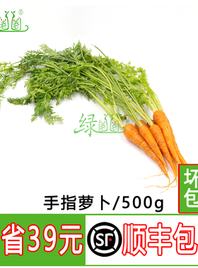 新鲜带叶红手指胡萝卜迷你手指胡萝卜摆盘西餐蔬菜500g