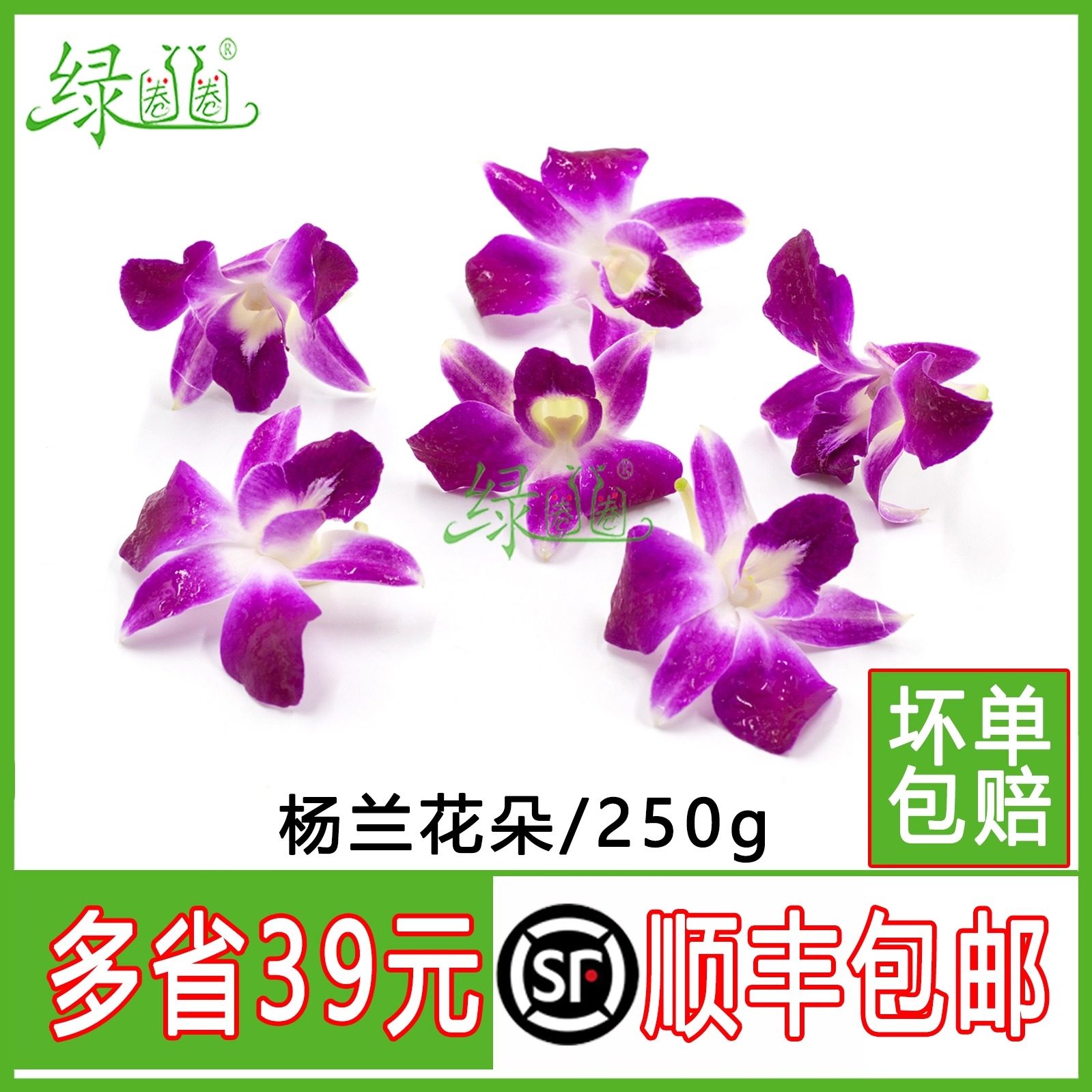 新鲜 洋兰花 杨兰花 花朵 石斛兰 酒店西餐摆菜盘装饰花草合集