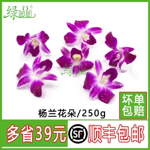 新鲜 洋兰花 杨兰花 花朵 石斛兰 酒店西餐摆菜盘装饰花草合集