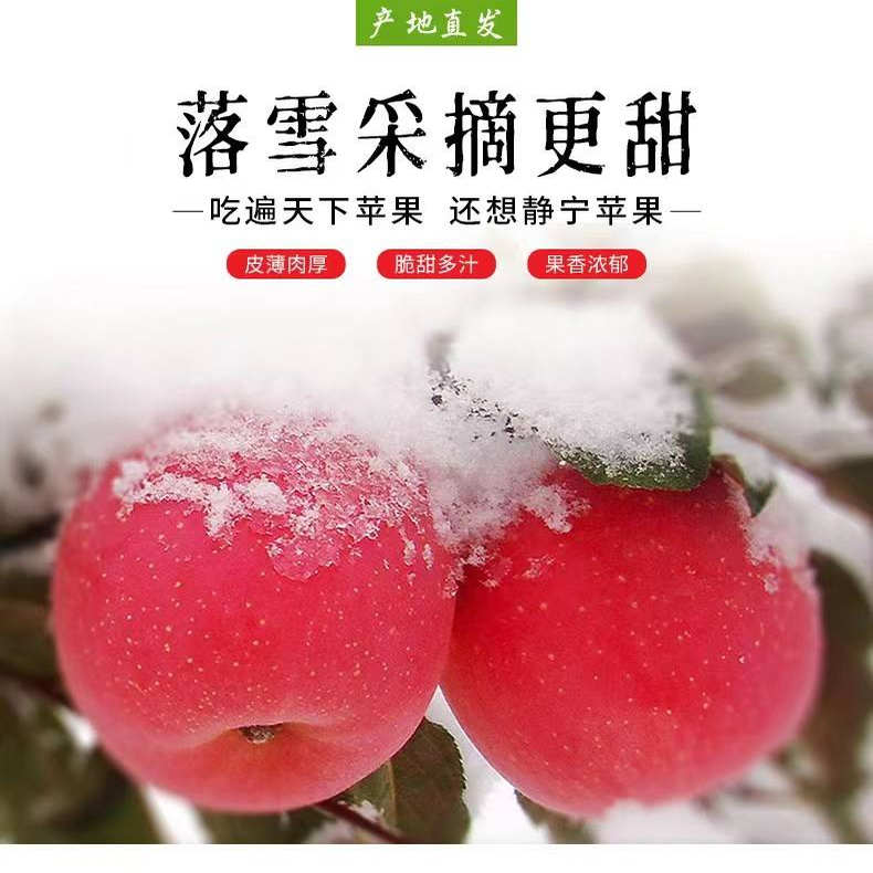 靜寧紅富士蘋(píng)果脆甜水果新鮮多汁當(dāng)季孕婦水果現(xiàn)摘現(xiàn)發(fā)禮盒裝高品