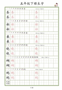 904 6年级同步生字田字格方格书法用纸字帖