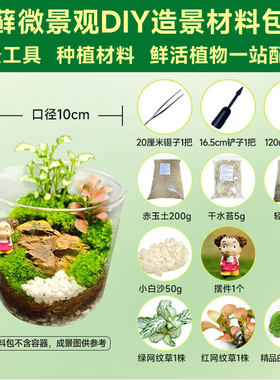 苔藓微景观造景全套材料生态瓶桌面办公室内迷你绿植摆件diy材料