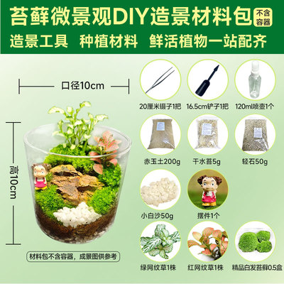 苔藓微景观造景全套材料生态瓶桌面办公室内迷你绿植摆件diy材料